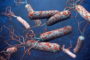 cholera