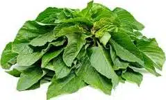 green amaranth