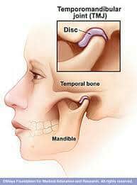 temporomandibular joint