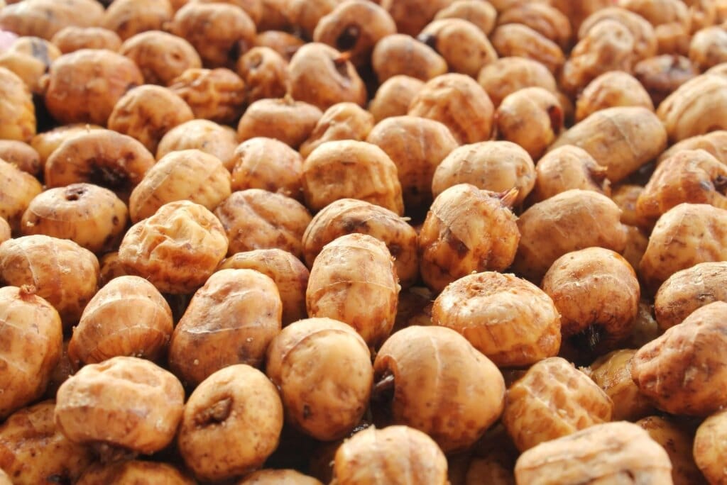 10 Nutritional Benefits of Tiger Nuts and Tiger Nuts Milk Tiger2BNut2BMilk2Bfor2BLactose2BIntolerant2BIndividuals