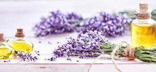 LAVENDER FLOWERS 10 Ways to Reduce Stress and Anxiety Naturally