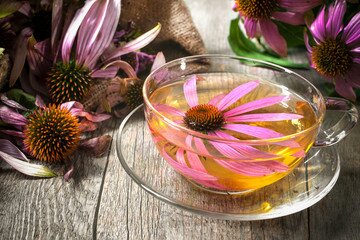 7 easy way to treat cold sores naturally at home within 2 to 3 days 11 echinacea