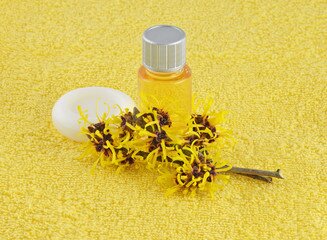 7 easy way to treat cold sores naturally at home within 2 to 3 days 9 witch hazel oil