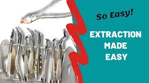 Top 10 Instruments Used for Dental
