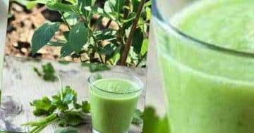 12 Health Benefit Of Consuming Bitter Leaf Soup; Bitter Leaf Tea, And Bitter Leaf Juice