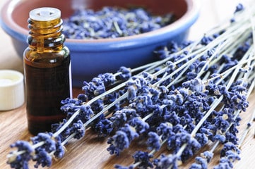 Lavender Oil – A Magical Gift of Nature