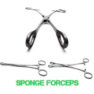 Sponge forceps and their uses 1 Sponge forceps or sponge holding forceps