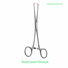 Tenaculum Forceps