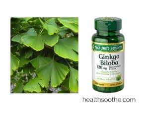 Of Ginkgo Biloba