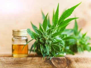 Why Do People Try CBD Oil