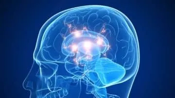 Why Do People Use Prescription Nootropics?