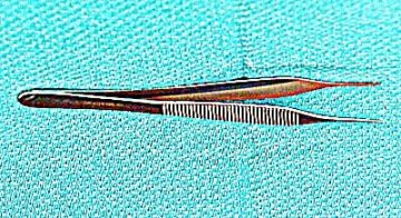 Non-toothed Forceps