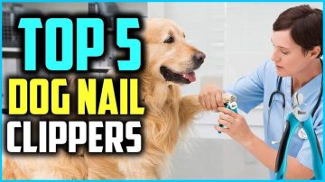 dog nail clippers