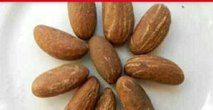 How To Use Bitter Kola To Last Longer In Bed