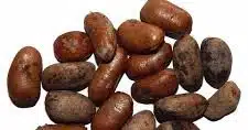 ehuru seeds