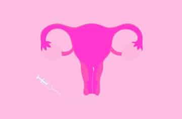 Cost Of Iui In Nigeria