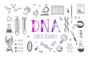 Cost of DNA TEST-3