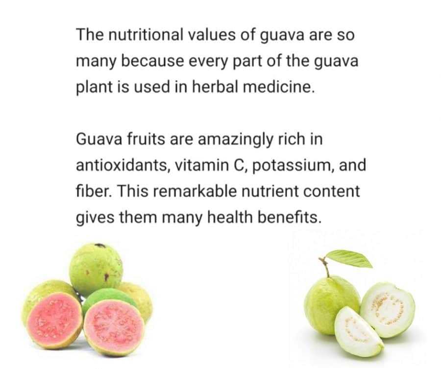 Guava