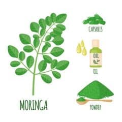 What is Moringa? And the basic health benefits