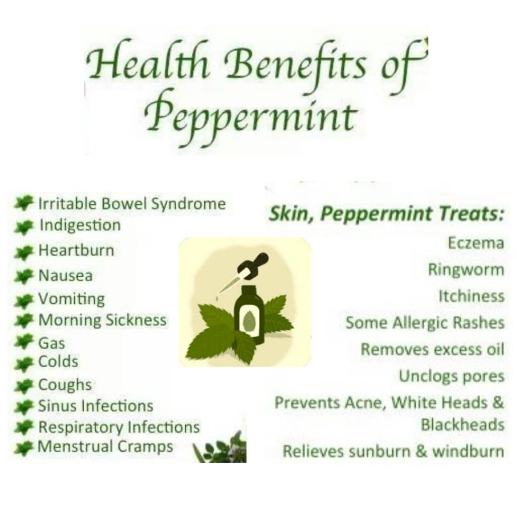 11 Health Benefits of Peppermint 11 Proven Health Benefits of Peppermint