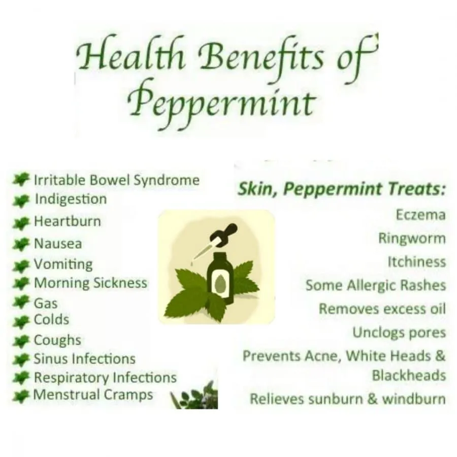 11 Health Benefits of Peppermint