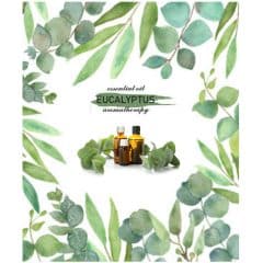 Eucalyptus Oil