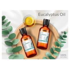 Eucalyptus Oil