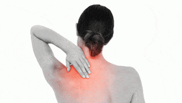 The Benefits Of Red Light Therapy For Both Humans And Animals