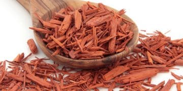 African Sandalwood - Nigerian Herbs for Hair Growth