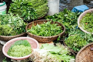 5 Effective Igbo Herbs For Weight Loss