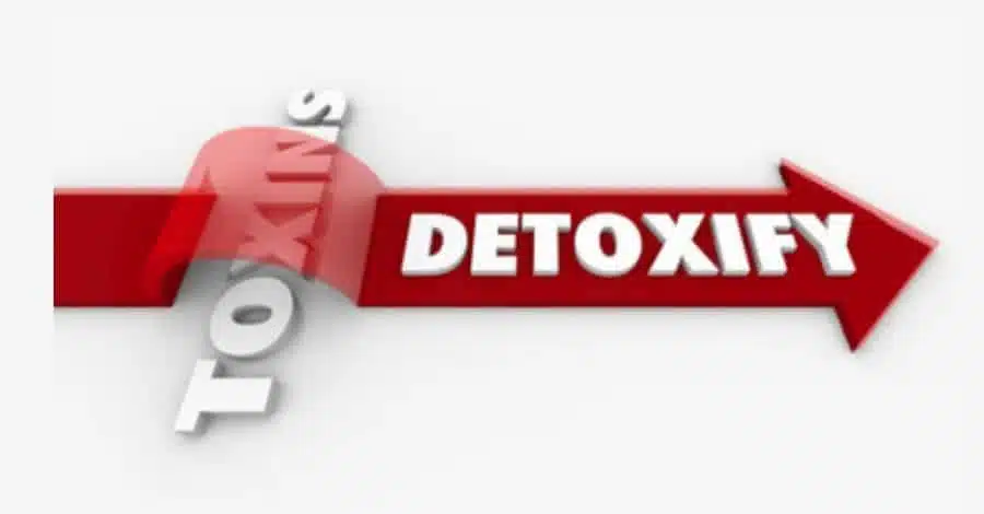 If You Have Stomach Problems And Are Feeling Low In Energy, It May Be Time To Try Mega Clean. This Detox Drink Helps To Quickly Rid The Body Of Toxins And Heal The Gut.