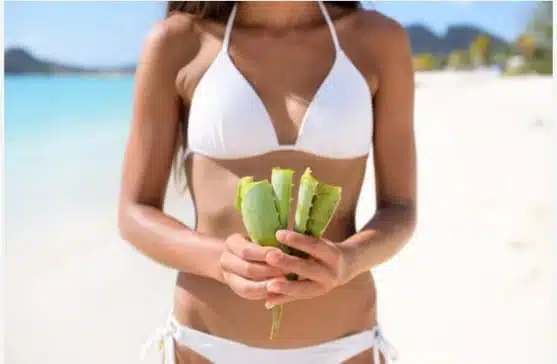Answered - Is Aloe Vera The Solution To Your Hair Fall Problem?