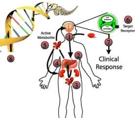 Can We Predict Drug Efficacy and Patient Response?