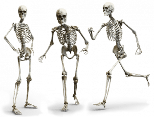 The Natural Ways to Build Healthy Bones