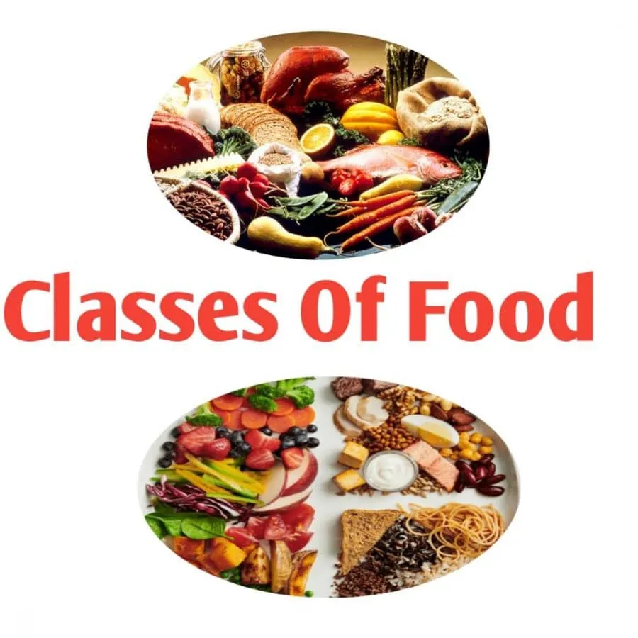 Classes of food and their function