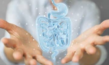 Probiotics 101-What They Are And How They Can Improve 