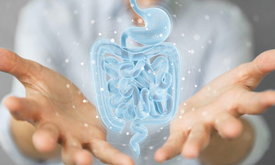 Best Probiotics For Women In 2024