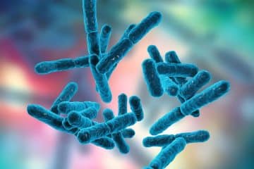 Probiotics 101-What They Are and How They Can Improve