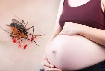 Malaria