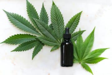 Cannabis And Cannabis Oil