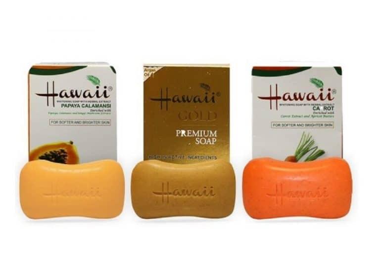 Hawaii Soap