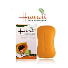 Hawaii Soap