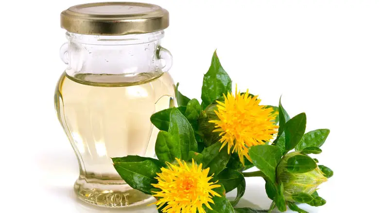 skinny leaf tea - Top 5 benefits of using the Safflower anti-inflammatory oil