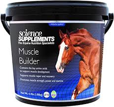 Horse Supplements - The Correct Way To Feed Them To Your Horses