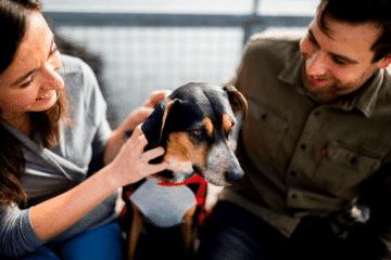 Top Reasons Why New Pet Owners Should Get Insurance Coverage