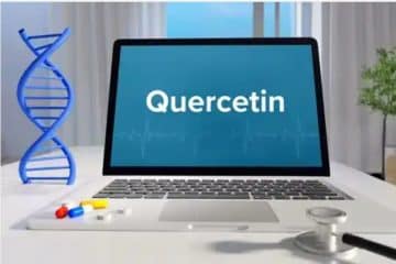 Top 6 Quercetin Benefits to Achieve Better Health