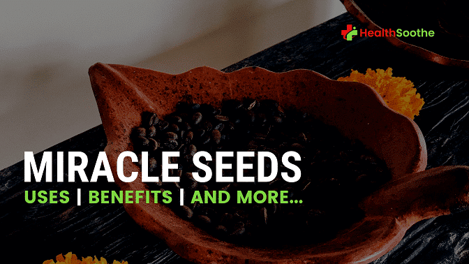 20 Benefits And Uses Of Miracle Seeds For Fertility, Fibroids, Infection And More