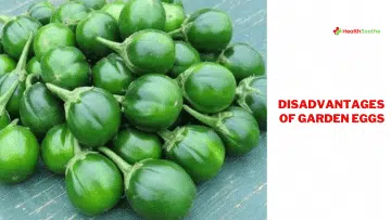 disavantages of garden eggs