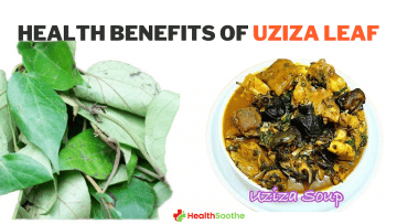 HEALTH BENEFITS OF UZIZA LEAF