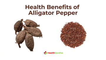 health benefit of alligator pepper